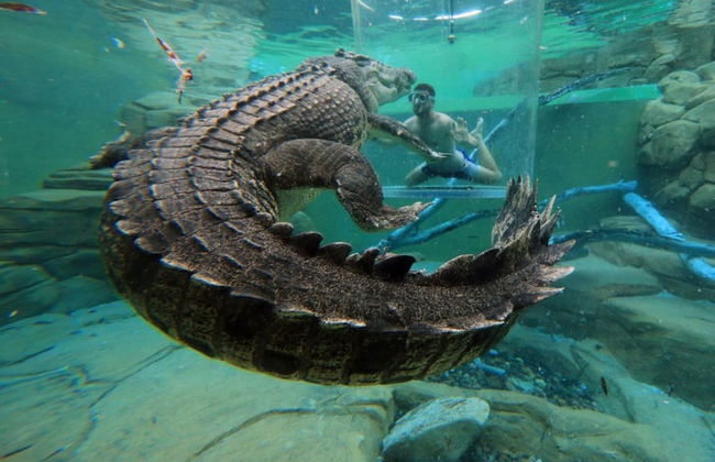 Zen Ocean View Ph Spacious Living Pool Parking - Foto 41