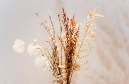 Küsten Suite de Diek - Suite 3 seitliche Deichlage, Terrasse, 53qm - Foto 12