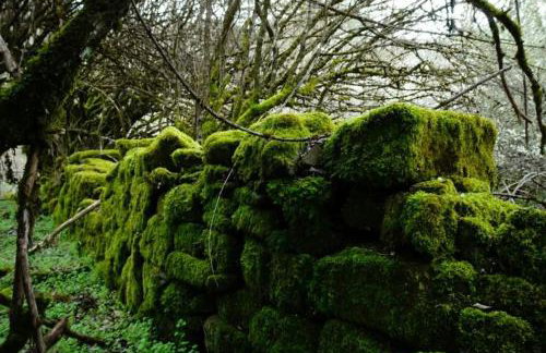 Βίτσα Πετρόκτιστο Αρχοντικό "Ιόλη" με θέα Ζαγόρι - Foto 70