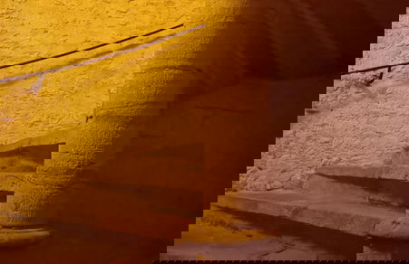 La Salamandre - Foto 15