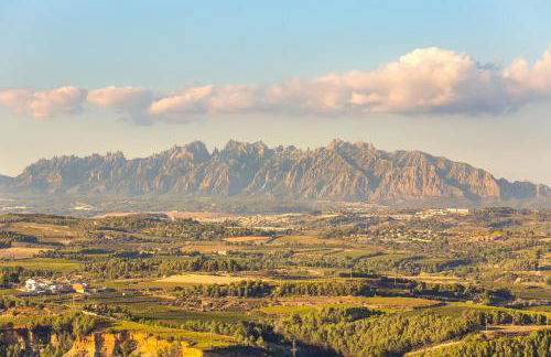 Masia Can Canyes & Spa - Photo 30