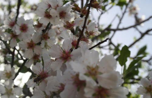 Hotel Edelweiss - Foto 49