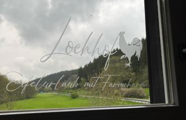 Lochhof Zwei - Eifelurlaub mit Farmcharme - Foto 31