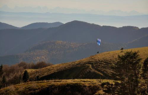 Holiday Home in Auvergne With Roofed Garden and Terrace - Foto 66