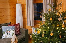 Bieszczadzki Rewir - Foto 33