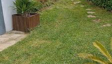 Carlana House - Foto 3, Garden