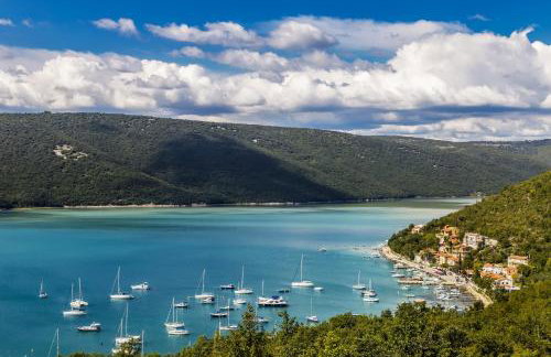 Holiday home in Krnica - Istrien 8733 - Foto 27