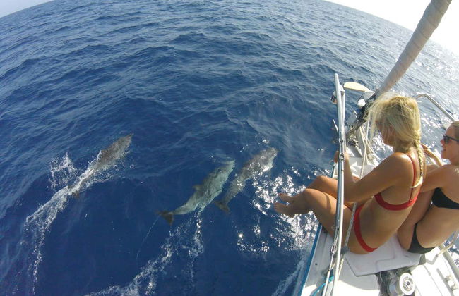 Paseo en velero con avistamiento de cetáceos desde Morro Jable - Foto 6