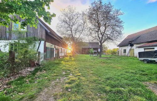 Urlaubsidylle in der Uckermark - Foto 17