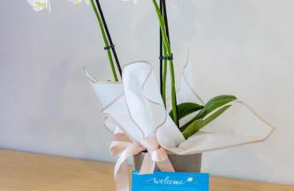 Espinho Sunny Vibes & Balcony with Pool - Foto 40