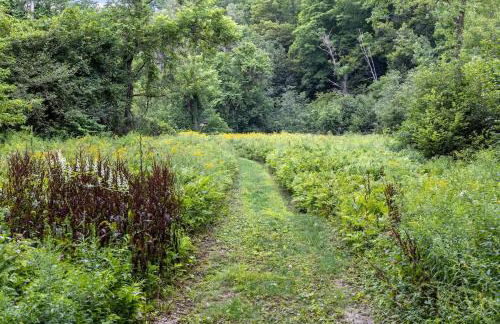 Caboose Tiny Home on river with hot tub near Stowe - Foto 22