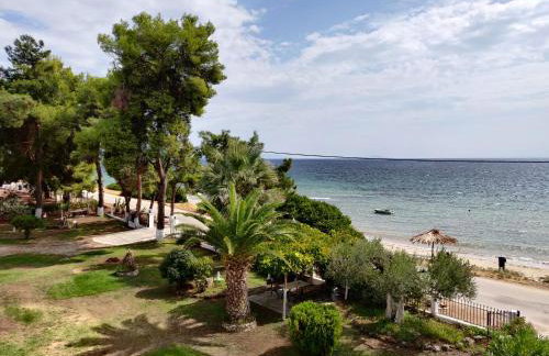 Entire Appartment 50m from sea - Spiros - Photo 1