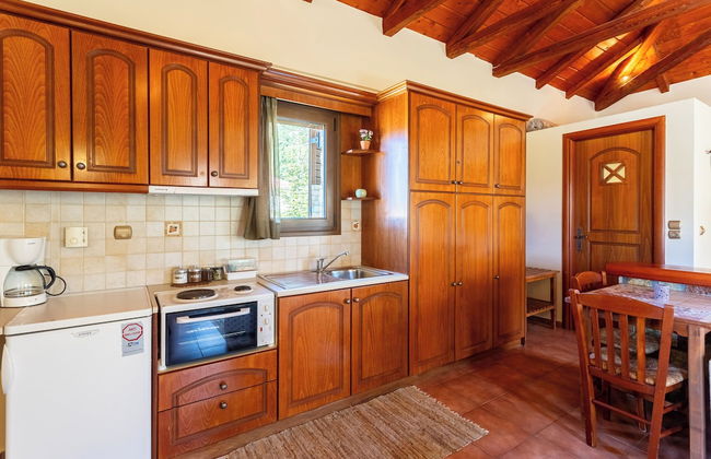 Pleiades Studios - All Season Gems - Foto 46