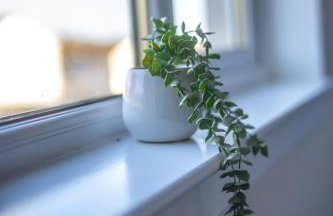 Camps Rigg Place - Foto 7