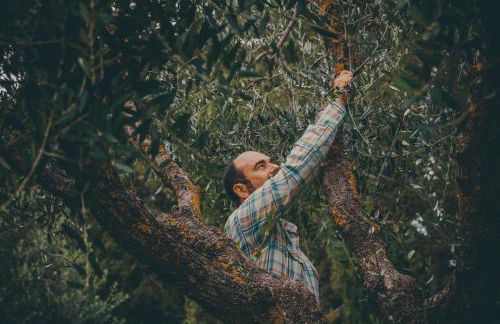 Agriturismo Buonasera - Foto 23