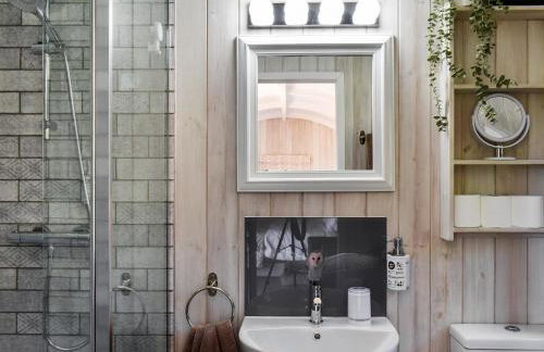 Barn Owl Hut - Uk49769 - Photo 6