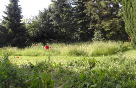 Kleine Kirche Atzendorf - Foto 6