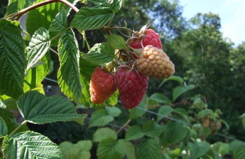 Agriturismo Cascina Rossano - Foto 75