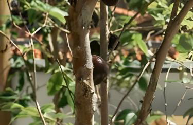 Mar e rio Orla Itacaré - Casa Flor - Foto 86