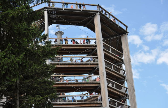 Charming 3-bed Villa in Lipno nad Vltavou - Photo 35