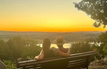 Main house Solar dos Condes da Azenha - Foto 75