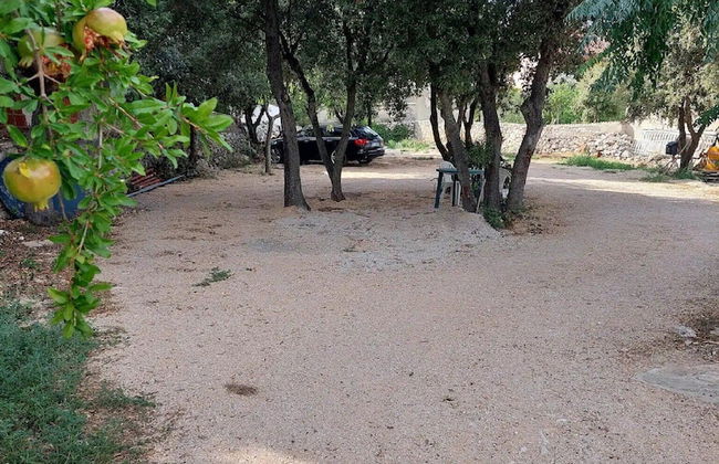 Apartments Paula - Photo 53