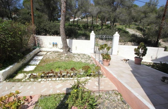 Pelagos Studios by Frangki 2 - Photo 10