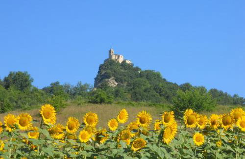 Agriturismo Le Castellare - Foto 37