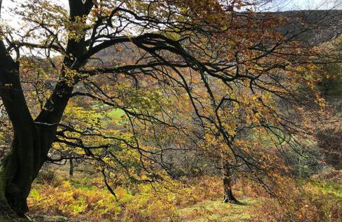 Lakeside View With Hot Tub - Foto 17