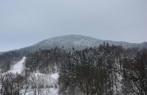 Pod Zielonym Dachem - Foto 22