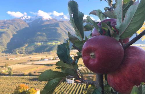 Haus Talblick "Neuräutl" Ferienwohnung 2 - Foto 16