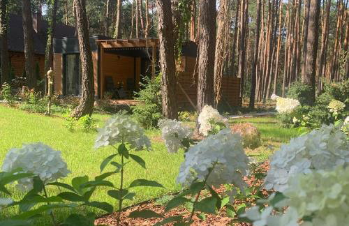 Uroczy mały domek na leśnej działce - Łosiówka - Foto 8