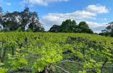 Casa Vita BG - Casa de campo - Foto 41