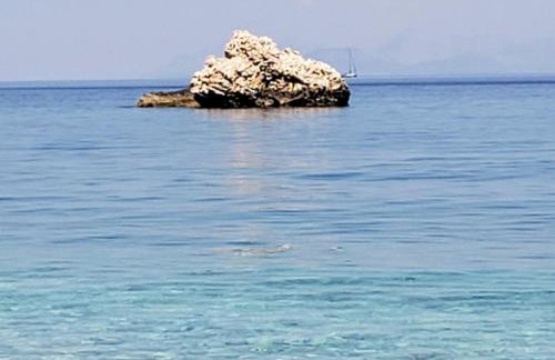 Dennis Seaview - Foto 17