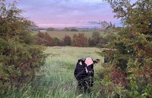 Gorgeous cabin 3bdrm/3bth, hot tub, fireplace, kid/pet friendly - Foto 4