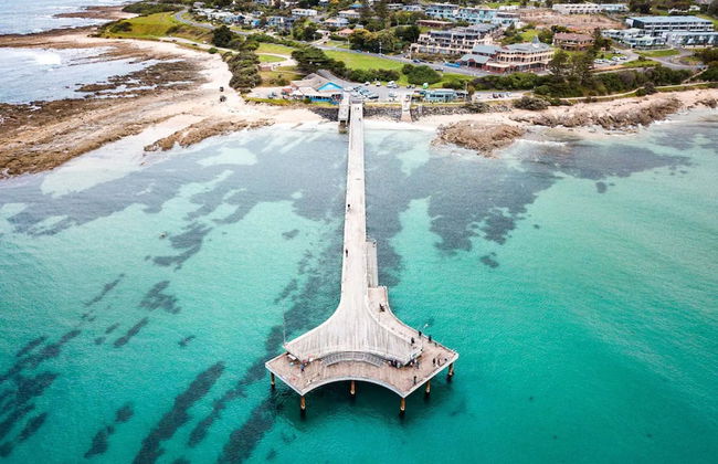 Whispering Gums Lorne Ocean Views Pet Friendly EV Charger - Photo 41