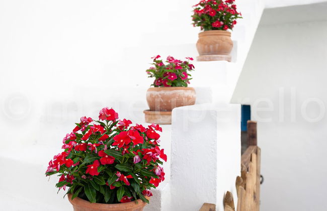 Casa de verano con piscina en el puerto - Foto 17