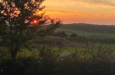 West mouse view - Foto 22