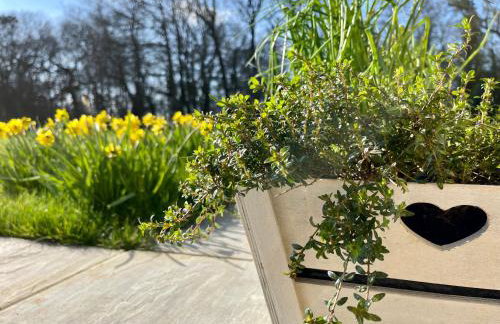 Briary Cottages at Iletts Farm - Photo 72