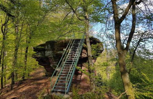 Schöne Ferienwohnung mitten im Pfälzerwaldgebiet - Foto 59