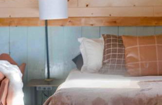 NEW! BEAR Necessities tiny home, outdoor theater! - Foto 45