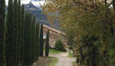 Agriturismo Le Querciole in Val d'Orcia - Foto 3