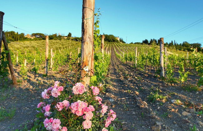 Pretty Farmhouse With Terrace - Foto 29