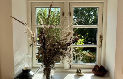 Mecklenbü mit Teich, Kamin, Sauna und Hotpott - Foto 12