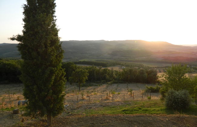 La Moiana 1756 - Foto 41