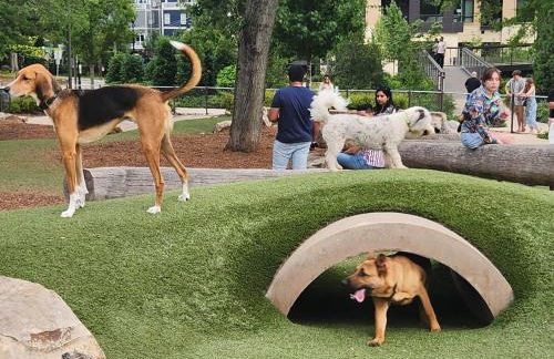 Downtown Cary 1930s Bungalow - Great walkability - Foto 30