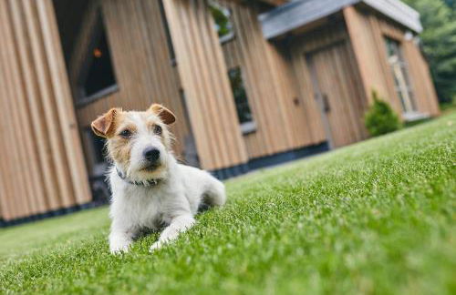 ATEMPAUSE Sauerland - Foto 20