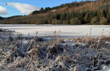 Bright, contemporary house & large private garden - Foto 33