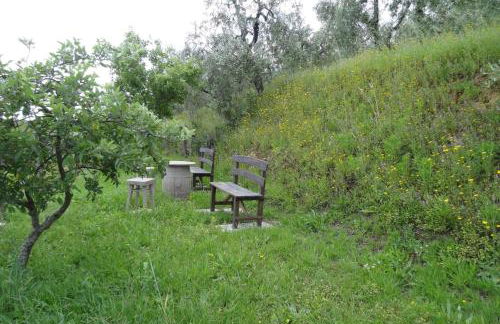 Holiday home Cerbaiola, Lamporecchio - Foto 2