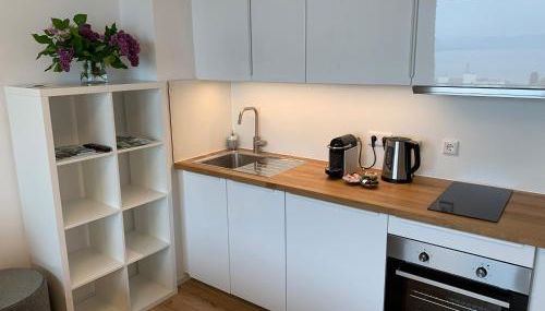 Apartment TraumSeeblick Immenstaad - Foto 3, stove